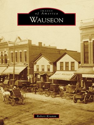 cover image of Wauseon